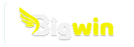 biggwin.live Logo